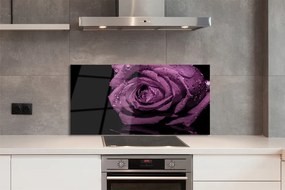 Panel nad Blat Kuchenny Szlachetna Fioletowa Róża