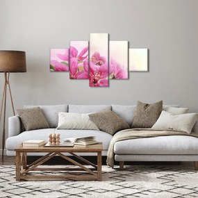 Obraz - Różowe kwiaty (125x70 cm)
