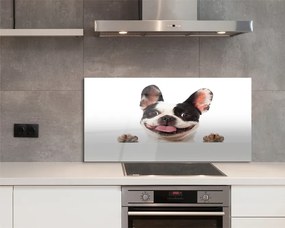 Panel Kuchenny Szklany Spojrzenie Wiernego Przyjaciela