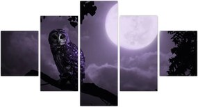 Obraz - Nocna sowa, fioletowy (125x70 cm)