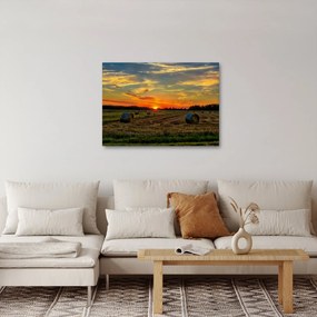 Obraz - Wiejskie bale (70x50 cm)