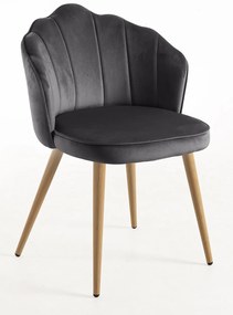 Aksamitne krzeso Blume