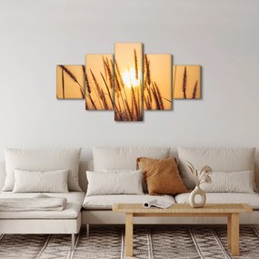 Obraz - Trawa w słońcu (125x70 cm)