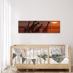 Obraz - Żyrafy na afrykańskiej sawannie (170x50 cm)
