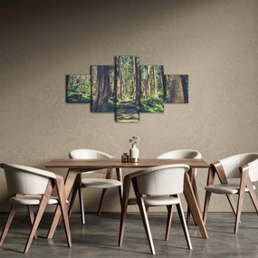 Obraz ścieżki pomiędzy drzewami (125x70 cm)