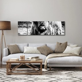 Obraz - Highland - szkocka krowa (170x50 cm)
