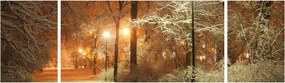 Obraz - Zaśnieżony park (170x50 cm)