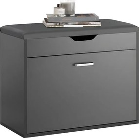 Ławka na buty z siedziskiem i pojemnik Szary FSR95-HG