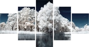 Obraz - Śnieżnobiałe drzewa (125x70 cm)