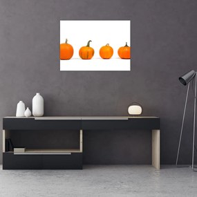 Obraz dyni (70x50 cm)