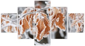 Obraz - Zamarznięte liście (125x70 cm)