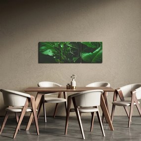 Obraz - Liście palmowe (z zegarem) (90x30 cm)