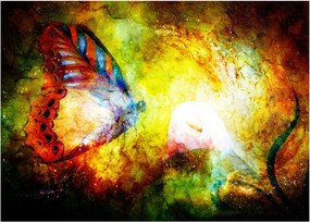 Obraz - Kosmiczny motyl (70x50 cm)