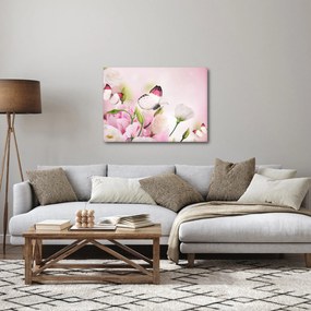 Obraz - Motyl (70x50 cm)