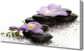 Obraz canvas Równowaga: Kwiat i Skała