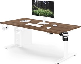 Duże biurko sit-stand do pracy Aria 160×80 cm, orzech/biały