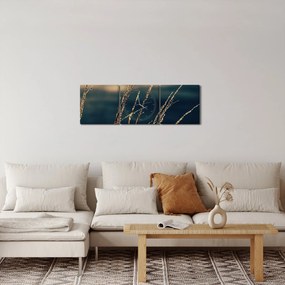 Obraz traw (z zegarem) (90x30 cm)