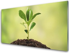 Szkło do Kuchni na Ścianę Narodziny Życia: Młody Pęd