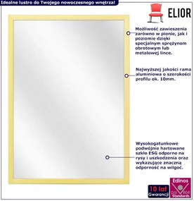 Aluminiowe lustro ścienne szampański D3-F21