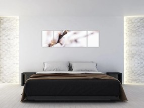 Obraz - Gałąź wierzby płaczącej (170x50 cm)