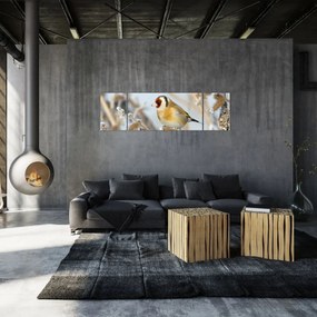 Obraz - Szczygieł (170x50 cm)