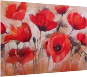 Obraz na szkle - Wilcze maki (70x50 cm)