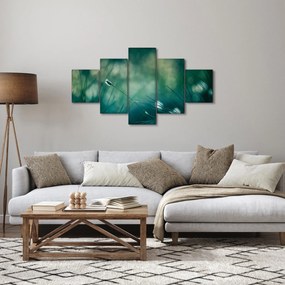 Obraz - Szczegół trawy (125x70 cm)