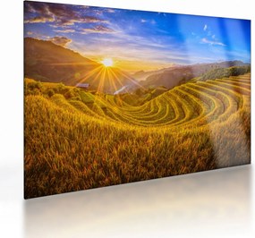 Obraz na szkle - Pole ryżowe w Wietnamie (70x50 cm)