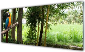 Panel Szklany Egzotyczna Papuga w Dżungli
