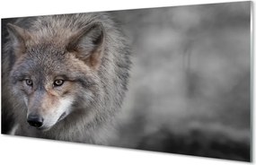 Panel Szklany Portret Dzikiego Drapieżnika