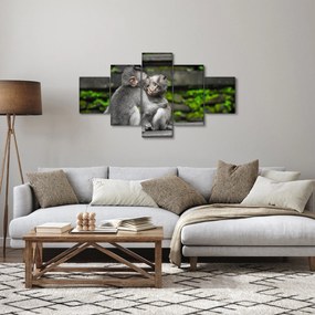 Obraz - małpki (125x70 cm)
