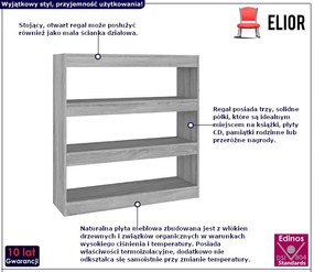 Regał do salonu w kolorze szarego dębu sonoma Elara 6X