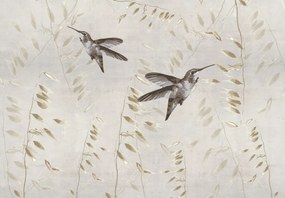 Fototapeta - Kolibry, wektor (196x136 cm)