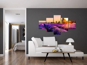 Obraz lawendowego pola (125x70 cm)