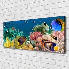 Obraz na płótnie Podwodny Świat Rafy
