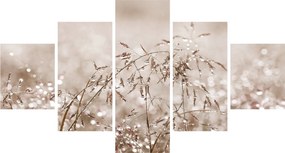 Obraz - Łąka w odcieniach brązu (125x70 cm)