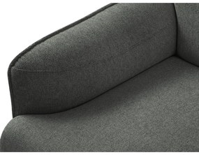 Szary fotel Windsor &amp; Co Sofas Neso
