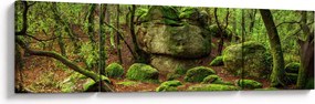 Obraz magicznego lasu (170x50 cm)