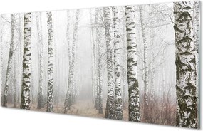 Panel szklany do Kuchni Mglisty Poranek wśród Brzóz