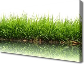 Zdjęcie na płótnie Świeżość Trawy nad Wodą