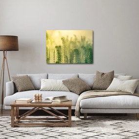 Obraz - Szczegół wiosennej mglistej przyrody (70x50 cm)