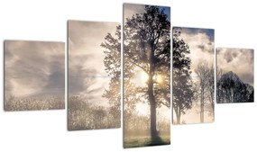 Obraz drzewa we mgle (125x70 cm)