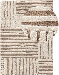 Dwukolorowy dywan z długim włosiem Tibo