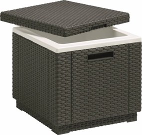 Keter lodówka turystyczna Ice Cube 40 l, grafit