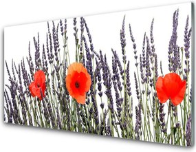 Szkło do Kuchni na Ścianę Maki Tańczące na Wietrze