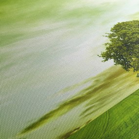 Obraz - Drzewo życia (170x50 cm)