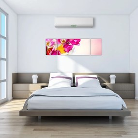 Obraz tulipanów (170x50 cm)