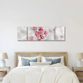 Obraz - Mrożone owoce (170x50 cm)