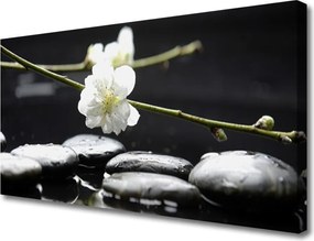 Obraz canvas na ścianę Kwitnąca Gałązka Jabłoni