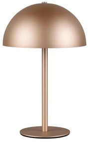 Lampa stołowa LED w kolorze brązu z metalowym kloszem (wysokość 21 cm) Munoz – Trio